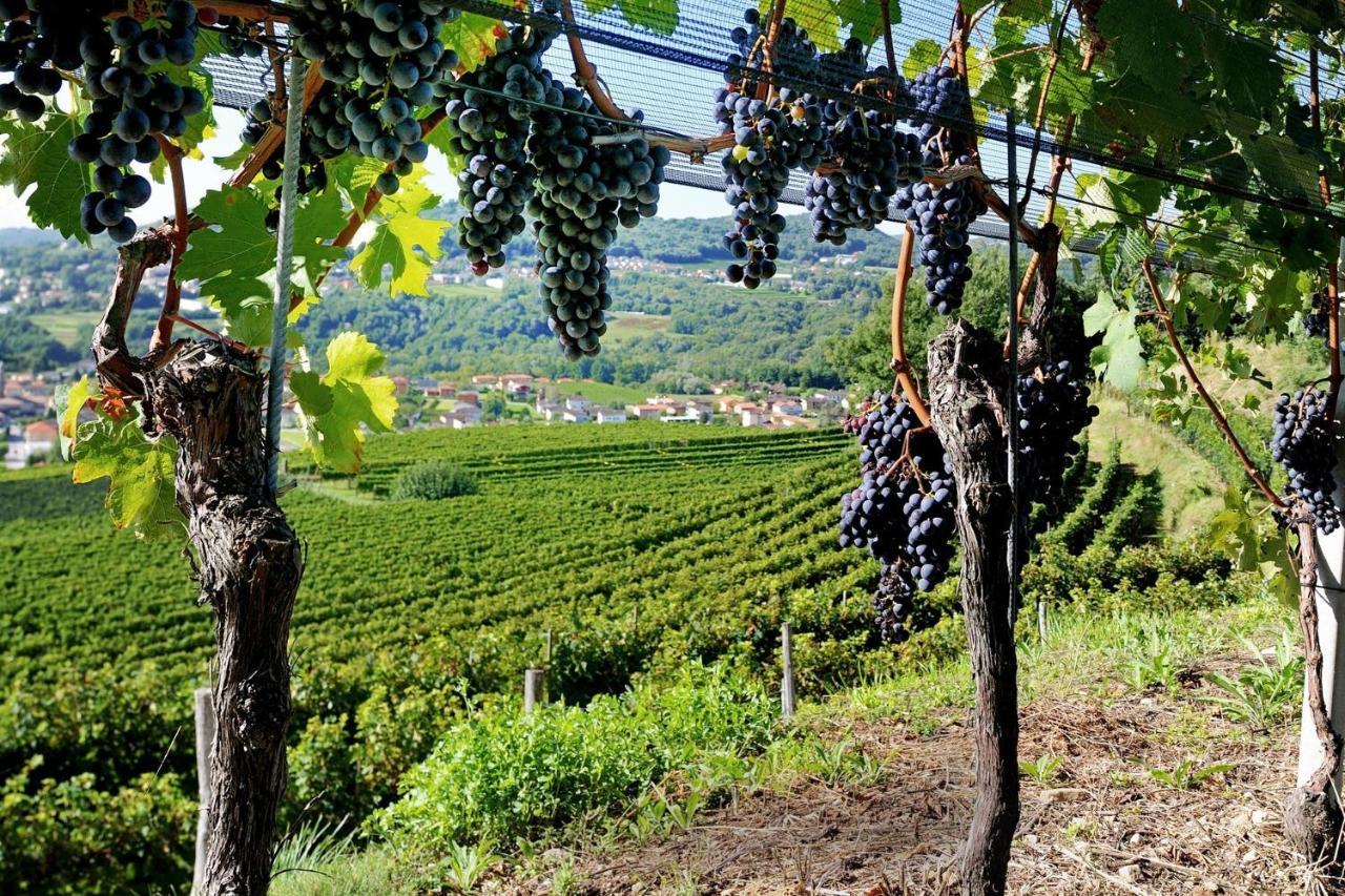 Conca Bella Boutique Hotel & Wine Experience Vacallo Exterior foto