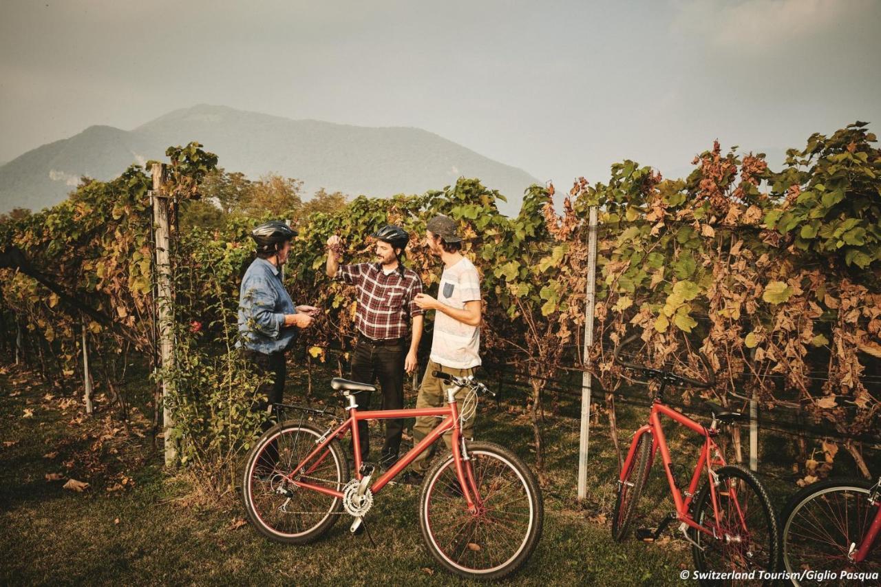 Conca Bella Boutique Hotel & Wine Experience Vacallo Exterior foto